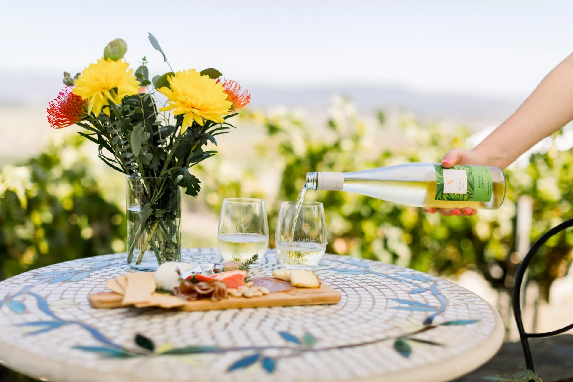 Pouring white wine in the vineyard