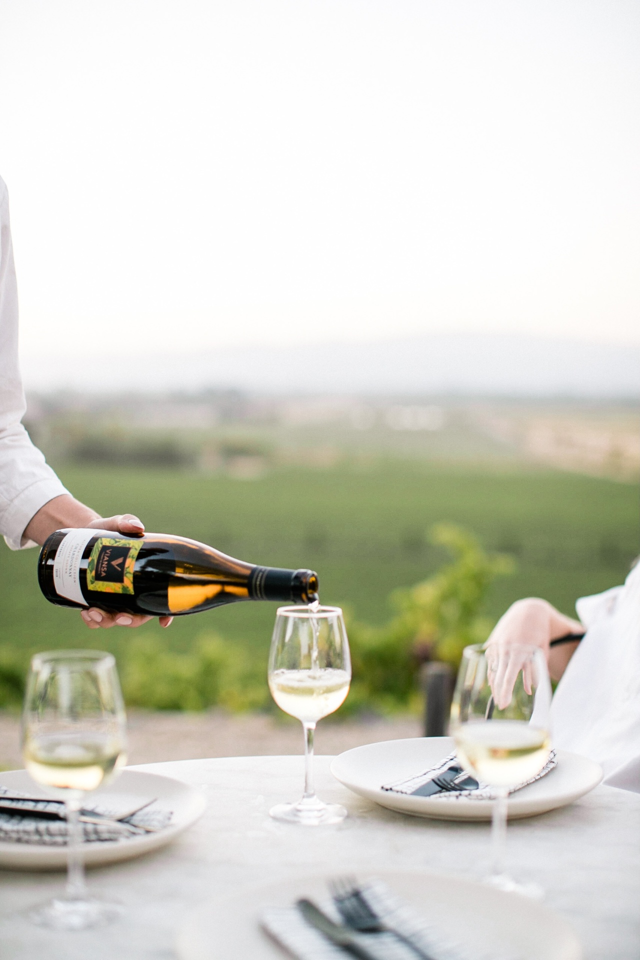 Wine Tasting