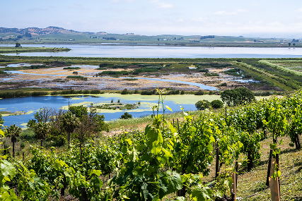 Wetlands & Wildlife