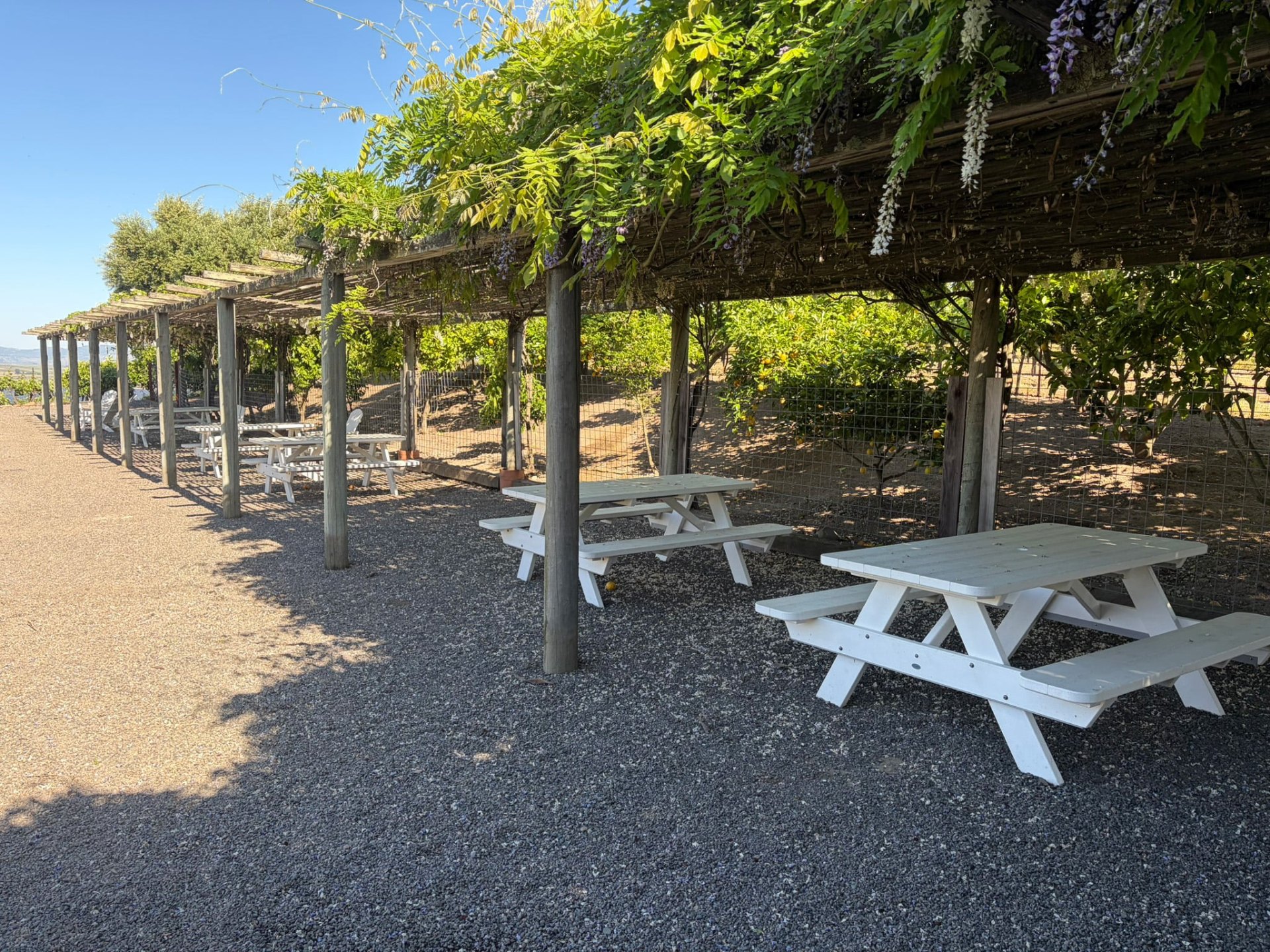Alta Terrazza picnic
